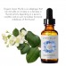 Laritelle Organic Hormonal Balance Oil 1 oz