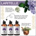 Laritelle Organic Hair Care Set Herbal Magic: Shampoo 17.5 oz + Conditioner 16 oz + Bonus Post-Shampoo Hair Strengthening Treatment 